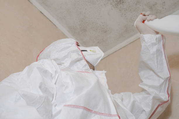 Marquette Heights, IL Mold Removal Company